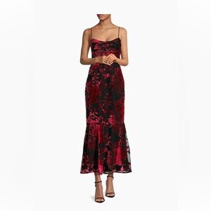 Hutch
Tylia Floral Velvet Midi Dress